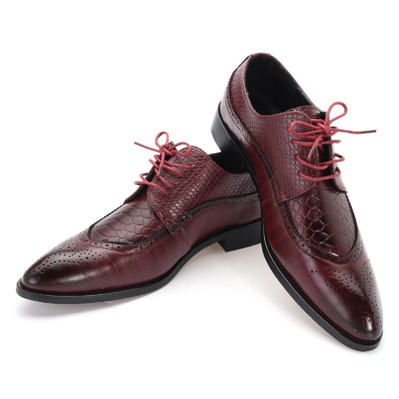 Moderne Brogue Heren Gesneden Klassieke Schoenen Met Puntige Neus